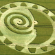 Illustration for article titled The Most Astonishing Crop Circle Artworks of 2014
